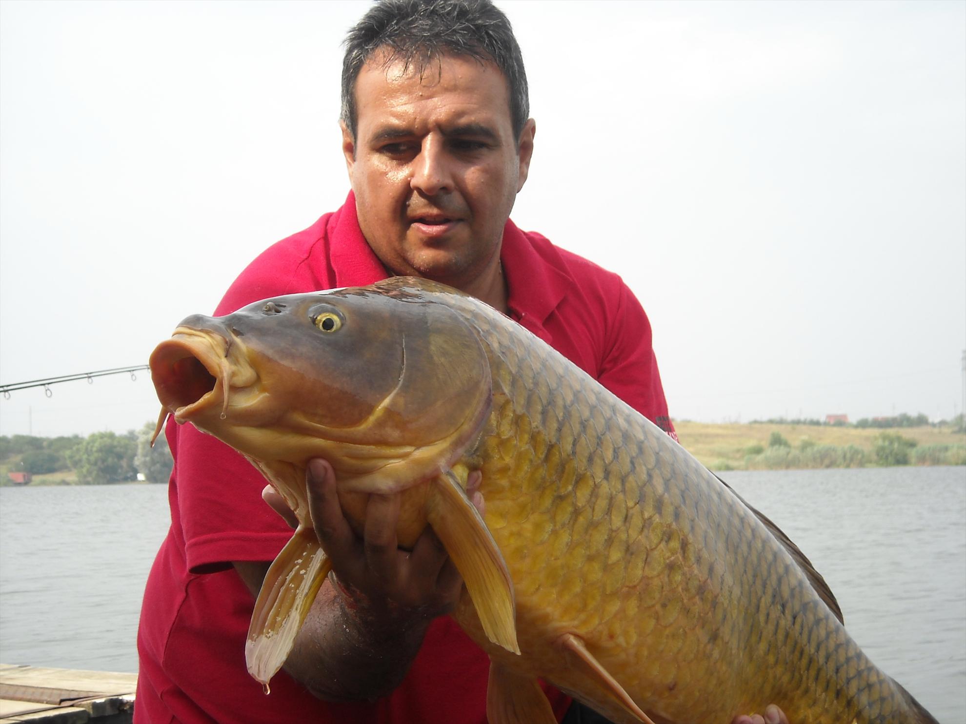 Open Tancabesti - 2010 - dscn7379.jpg